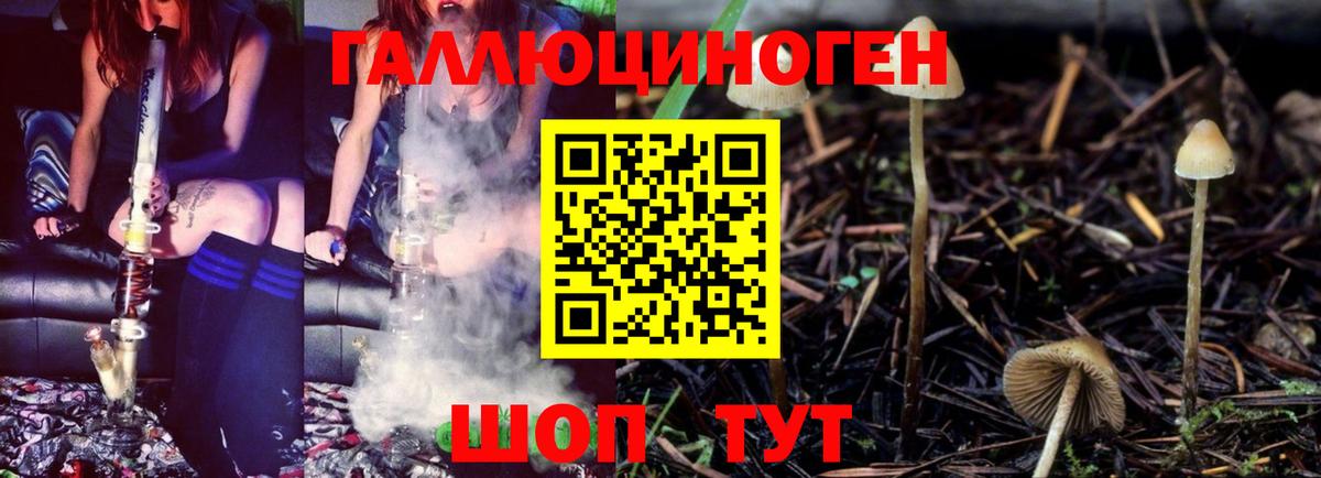 Псилоцибиновые грибы Psilocybe  Вход с VPN  где можно купить наркотик  Великий Новгород 